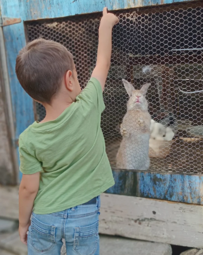 Enfant découvrant les animaux du Grand Îlet