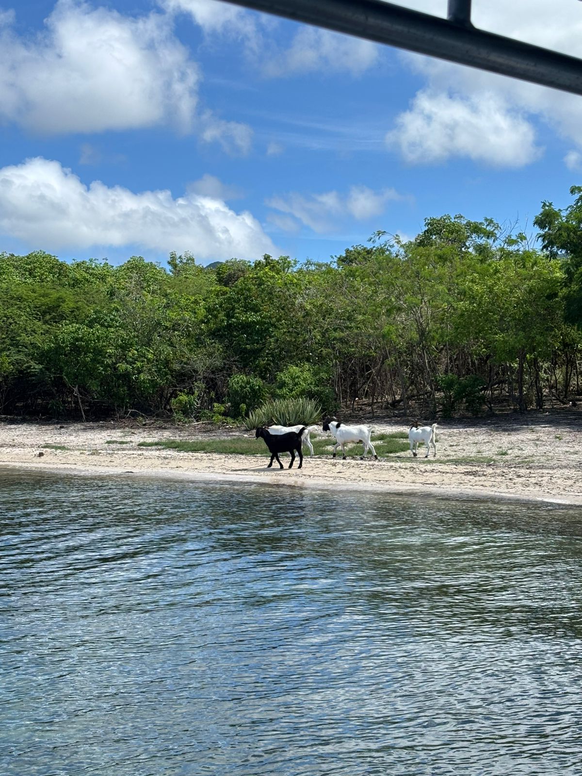 Photo NTK SXM