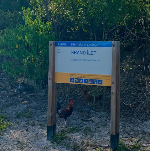 Panneau site naturel protégé du Grand Îlet